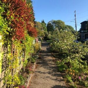 Meet your Posher, Todd